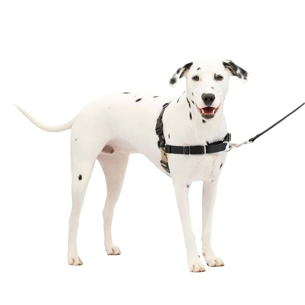 PetSafe Easy Walk Dog Harness Black/Silver, Medium/large