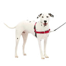 PetSafe Easy Walk Dog Harness Black/Red, Medium/Large