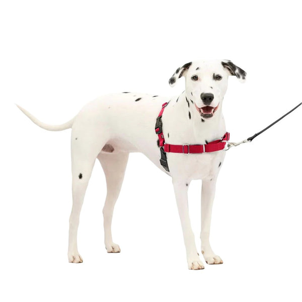 PetSafe Easy Walk Dog Harness Black/Red, Medium/Large