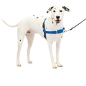 PetSafe Easy Walk Dog Harness Royal Blue/Navy, Medium/Large