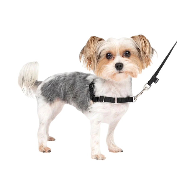 PetSafe Easy Walk Dog Harness Black/Silver, Petite/Small