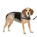 PetSafe Easy Walk Dog Harness Black/Silver, Small/Medium