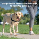 PetSafe Easy Walk Dog Harness Royal Blue/Navy