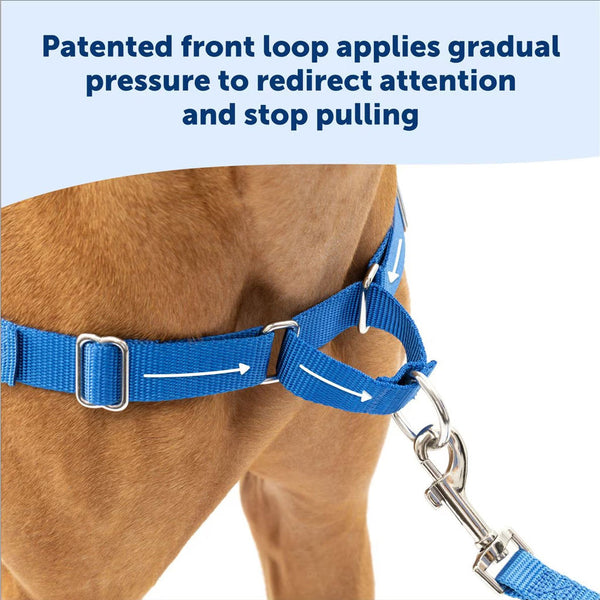 PetSafe Easy Walk Dog Harness Royal Blue/Navy