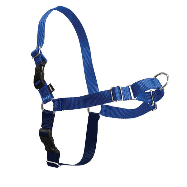 PetSafe Easy Walk Dog Harness Royal Blue/Navy