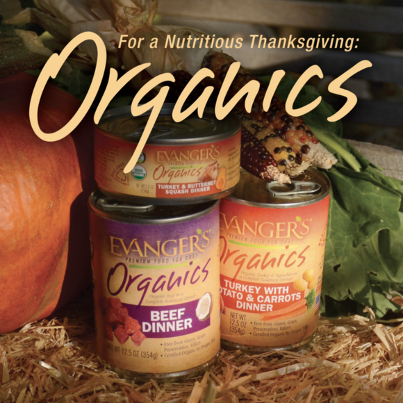 Evanger’s Organics Turkey w/ Potato & Carrots Dinner Wet Dog Food (12.8 oz x 12 cans) - Dog Food 2
