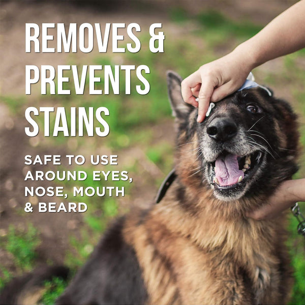 Natural Rapport The Only Eye Tear Stain Remover Dogs Need