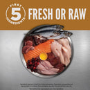 Assorted fresh ingredients including fish, meat, and berries on a metallic surface with 'First 5 Ingredients' branding.