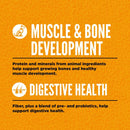 Text on an orange background about muscle and bone development and digestive health.