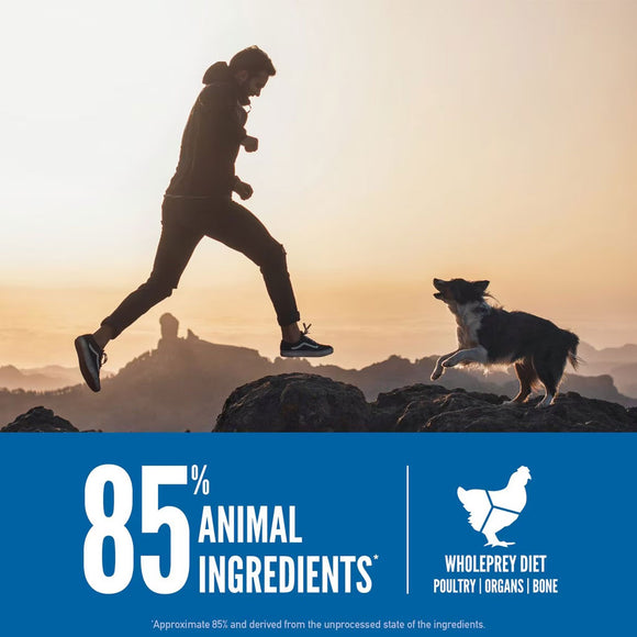 Man and dog running on rocks with a sunset background and text about animal ingredients.