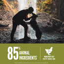 Person and dog silhouette against a waterfall with a green banner about animal ingredients.