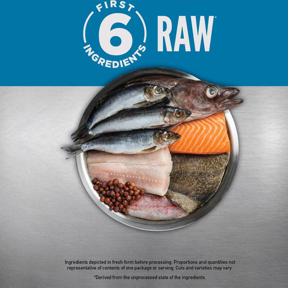 Raw fish and ingredients on a metallic surface with 'First 6 Ingredients Raw' text.