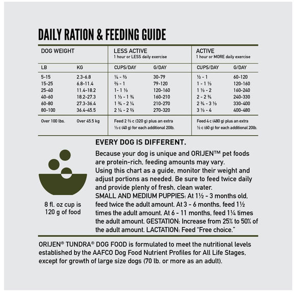 Dog food daily ration and feeding guide chart on a white background