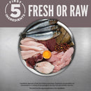Assorted raw meats, fish, and an egg on a metallic surface with 'First 5 Ingredients' text.