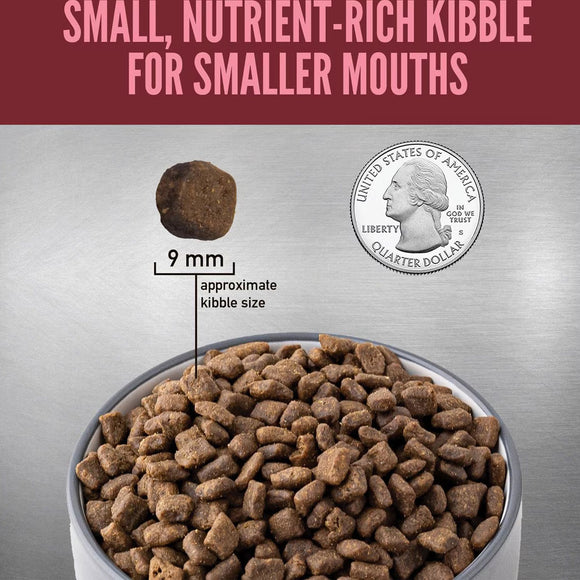 Dog food kibble shown next to a quarter to indicate size, on a metallic background