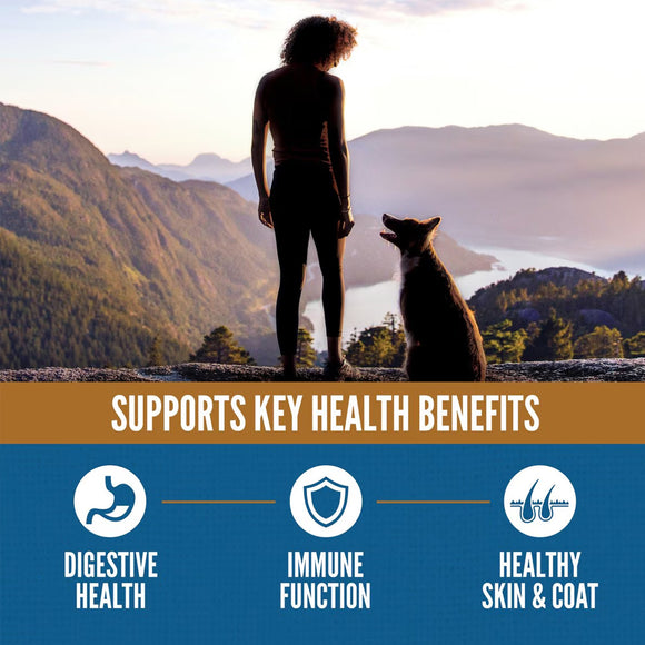 Person and dog standing together with mountains in the background, promoting health benefits.