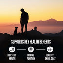 Silhouette of a person and two dogs on a mountain with a sunset, promoting health benefits.
