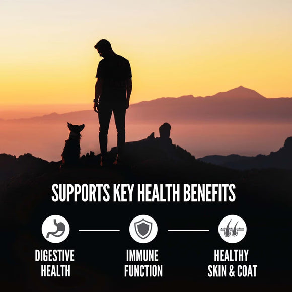 Silhouette of a person and two dogs on a mountain with a sunset, promoting health benefits.