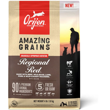 Orijen dog food package with 'Amazing Grains' and 'Regional Red' text on a white background
