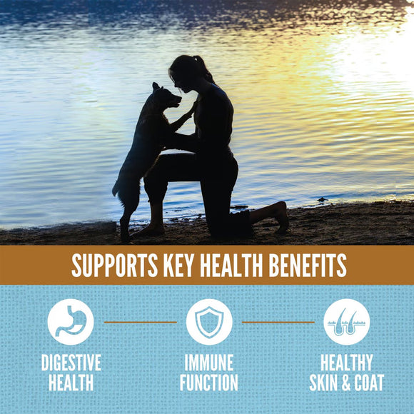 Silhouette of a person and dog by a lake with health benefits text overlay.