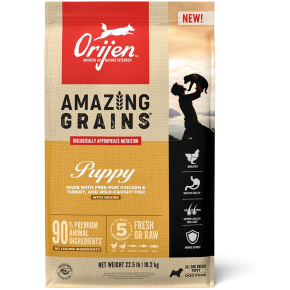 Orijen puppy dog food package with 'Amazing Grains' text on a beige background