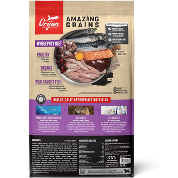 Orijen Amazing Grains dog food package on a white background