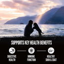 Person and dog sitting on a beach at sunset with text about health benefits.