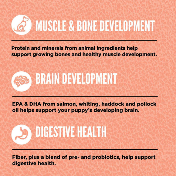 Infographic on muscle, bone, brain, and digestive health for puppies with text and icons on a pink background.