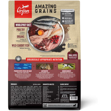 Orijen Amazing Grains dog food package on a white background