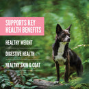 Dog standing on a log with text about health benefits in a natural setting
