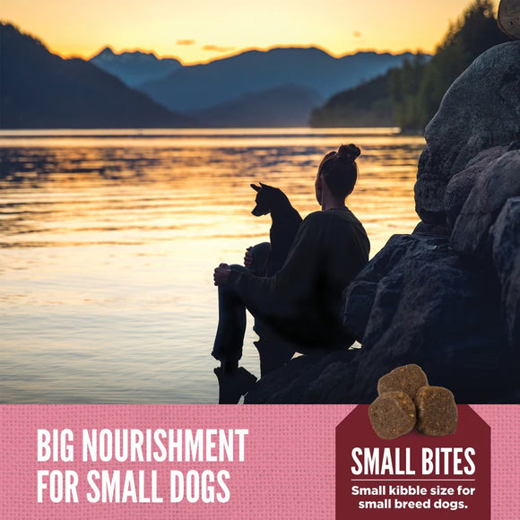 Person and dog sitting by a lake at sunset with text about dog food.
