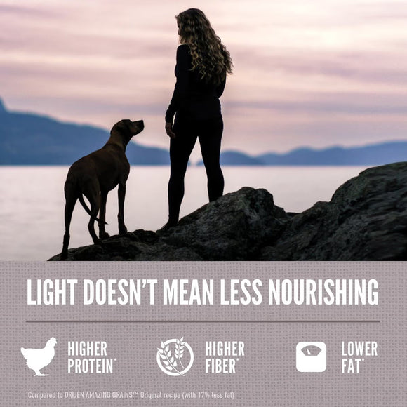Silhouette of a person and dog on rocks with a scenic background, promoting healthier food options.