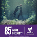 Person and dog in a forest with promotional text about animal ingredients in pet food.