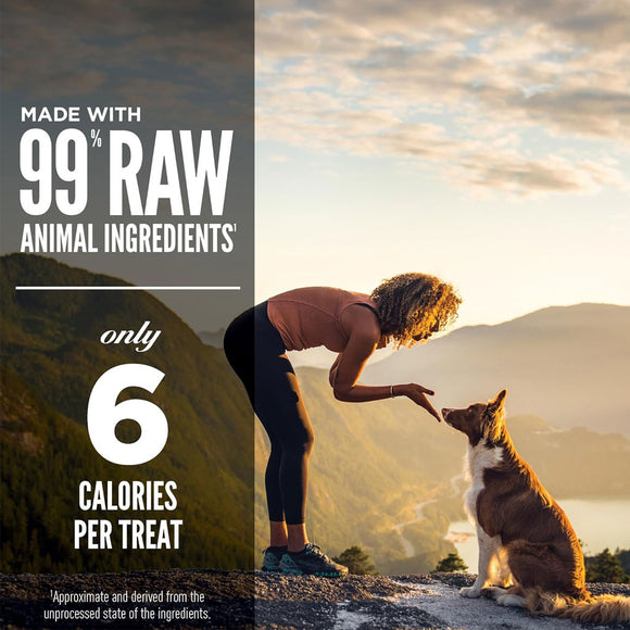 Woman and dog on a mountain with health and wellness text overlay