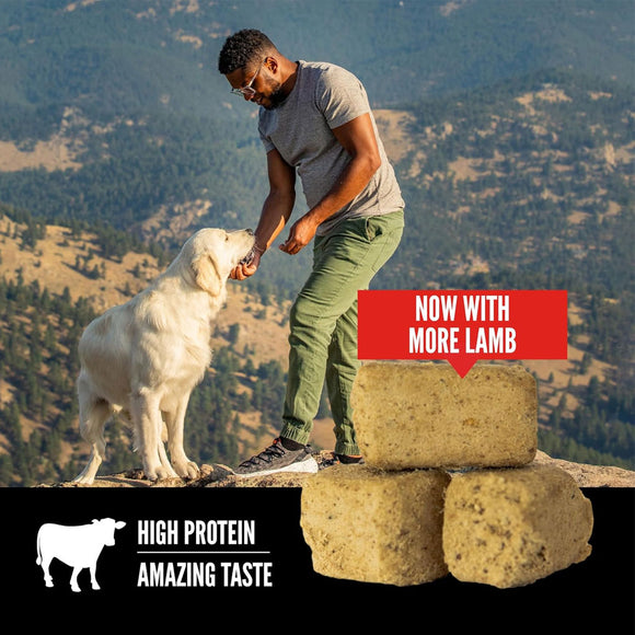 Man and dog on a mountain with stacked blocks and promotional text overlay