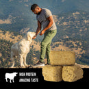 ORIJEN Ranch-Raised Beef Grain-Free High-Protein Freeze Dried Dog Treats