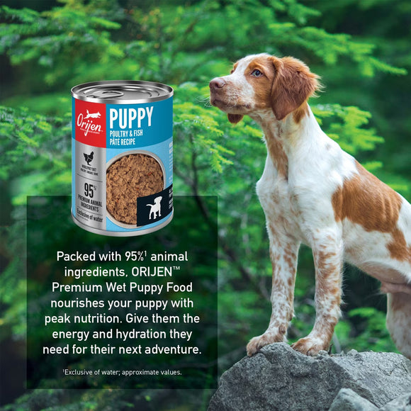 Orijen puppy food can with a dog on a rock in a forest setting