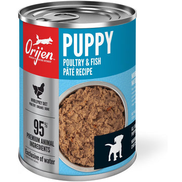 Orijen can of puppy food with poultry and fish páté recipe on a white background