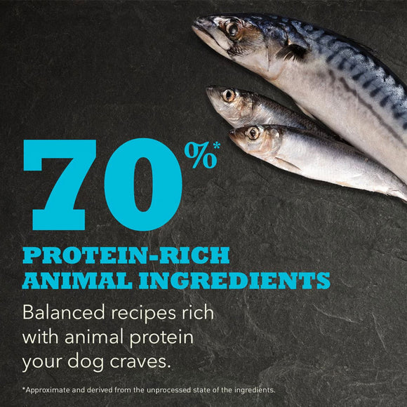 Three fish on a dark background with text about protein-rich ingredients for dogs.