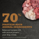 Dog food ingredients with text highlighting protein content on a dark background
