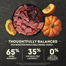 Meat chunks in a bowl with pumpkins on a dark background, highlighting protein and ingredient information.
