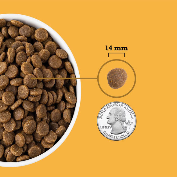 Dog food kibble shown next to a quarter on an orange background