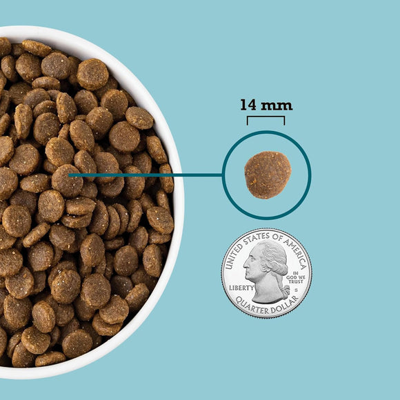 Dog food kibble shown next to a quarter to indicate size