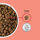 Dog food kibble shown next to a quarter for size comparison on a pink background