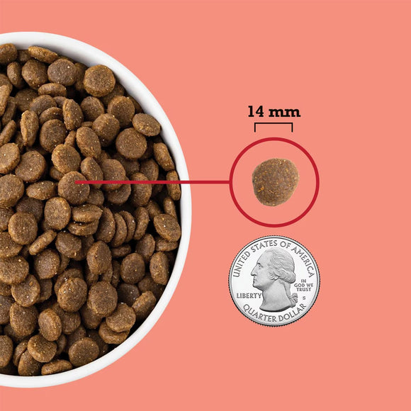 Dog food kibble shown next to a quarter for size comparison on a pink background