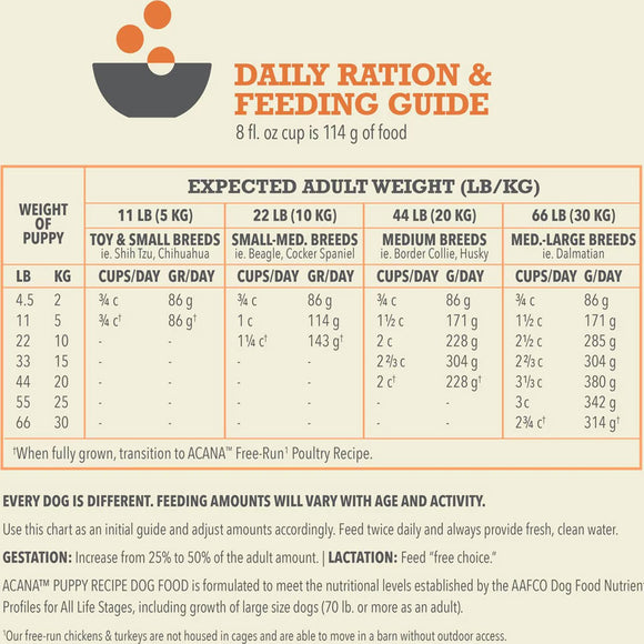 Daily ration and feeding guide for puppies with weight and size categories.