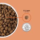 Dog food pellets in a bowl with a quarter for size comparison on an orange background