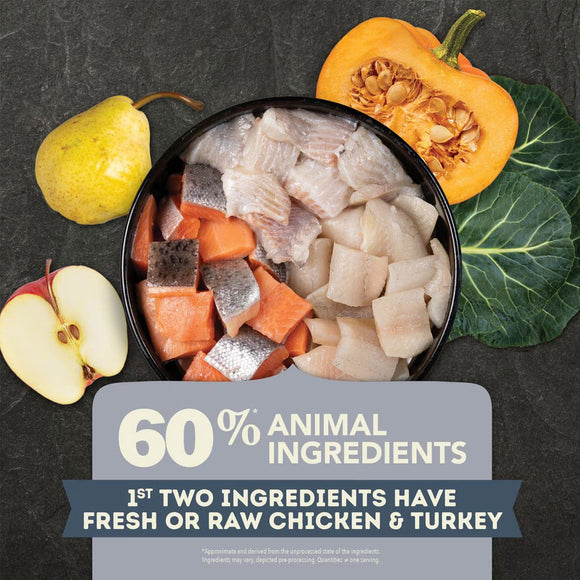 Pet food with ingredients including fish, carrots, and a pumpkin, surrounded by vegetables on a dark background.