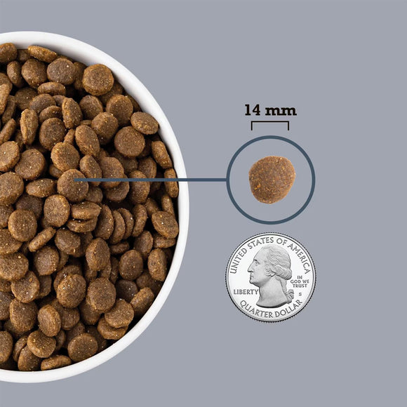 Dog food kibble shown next to a quarter for size comparison on a gray background