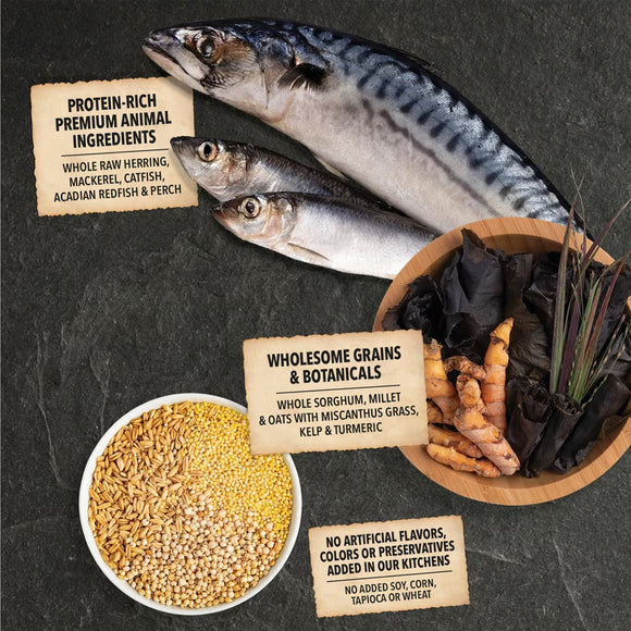 Raw fish and ingredients on a dark surface with text labels.